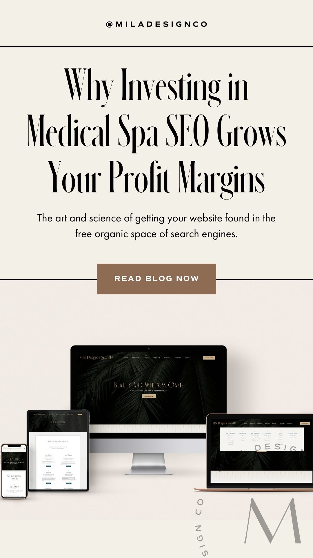 graphic with text: "Why Investing in Medical Spa SEO Grows Your Profit Margins"