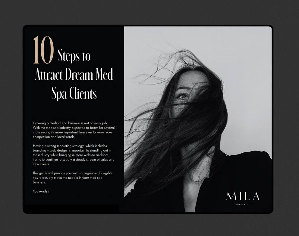 mockup of tablet with text "10 Steps to Attract Dream Med Spa Clients"